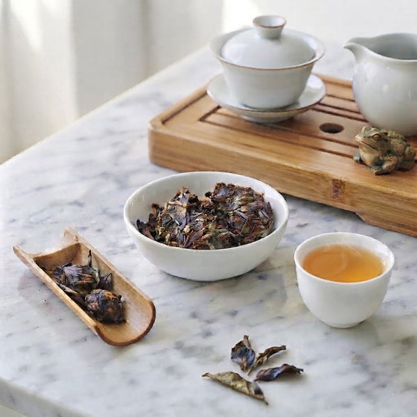 Chenxiang Aged Shoumei Bing, Fuding Fujian