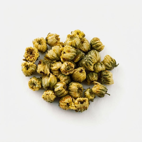 Chrysanthemum Buds – Mid-Tier