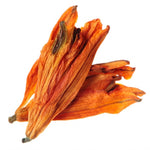 Dried Lily Flower – Mid-Tier
