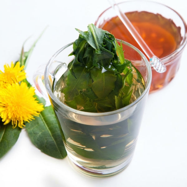 Dandelion Leaf Tea – Mid-Tier