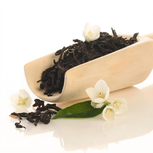 Jasmine – Mid-Tier