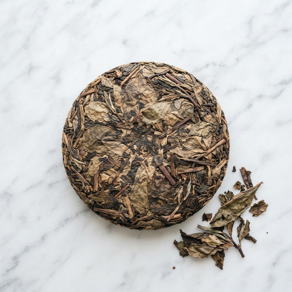 Lao Baicha Cake, Chenxiang Shoumei, Fuding Fujian