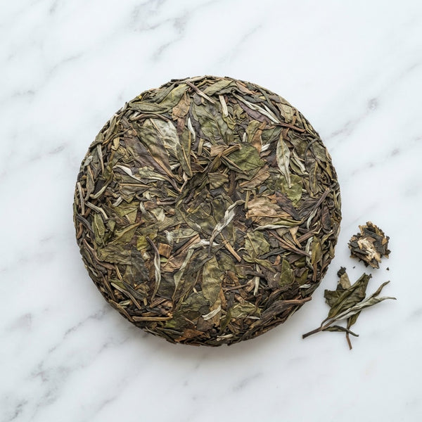 Laoshu Gongmei Cake, Fuding Fujian (21.5 USD/cake)