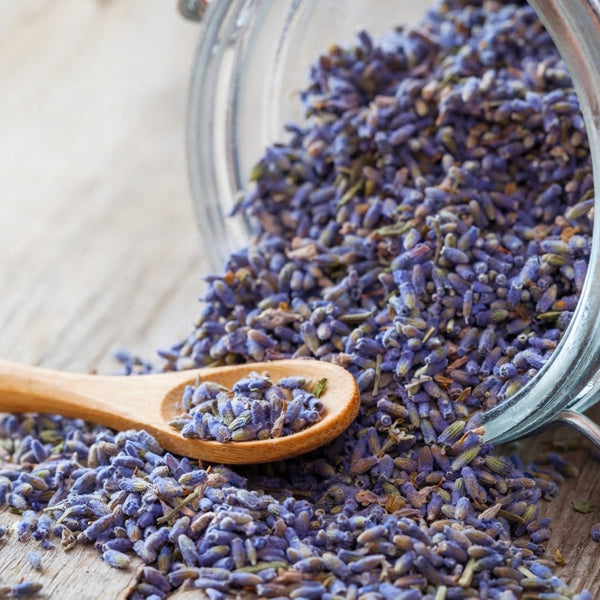 Lavender – Mid-Tier