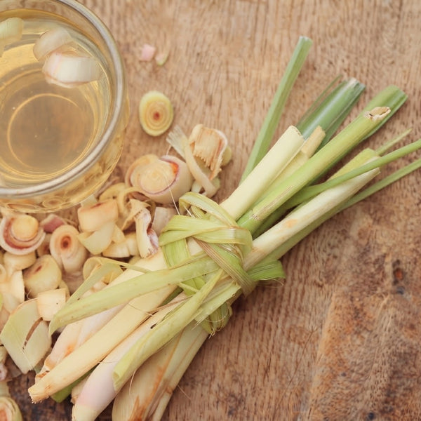 Lemongrass – Mid-Tier