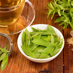 Lemon Verbena – Mid-Tier