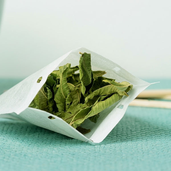 Lemon Verbena – Mid-Tier