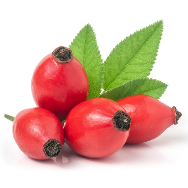 Rose Hip – Mid-Tier