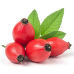 Rose Hip – Mid-Tier