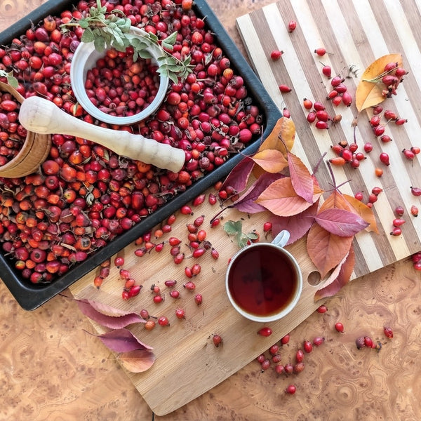 Rose Hip – Mid-Tier