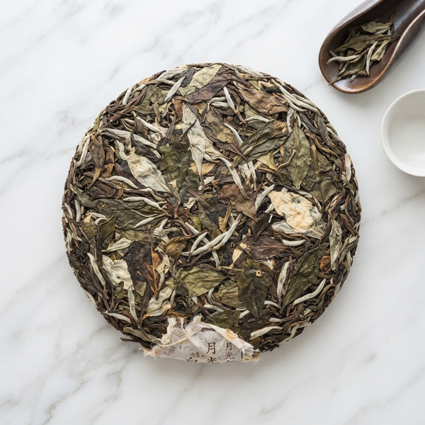 Raw Pu'er Teacake, Yue Guang Bai